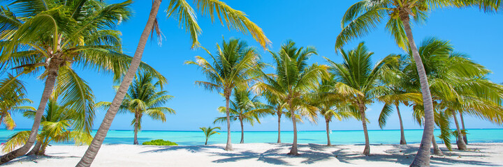 Deken met foto Palmboom Panorama wit strand turquoise zee en palmbomen  © Kaspars Grinvalds