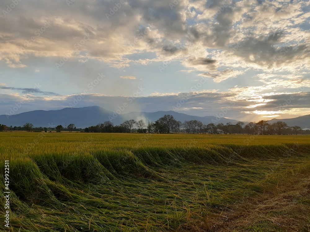sunset over the field sunset over the field