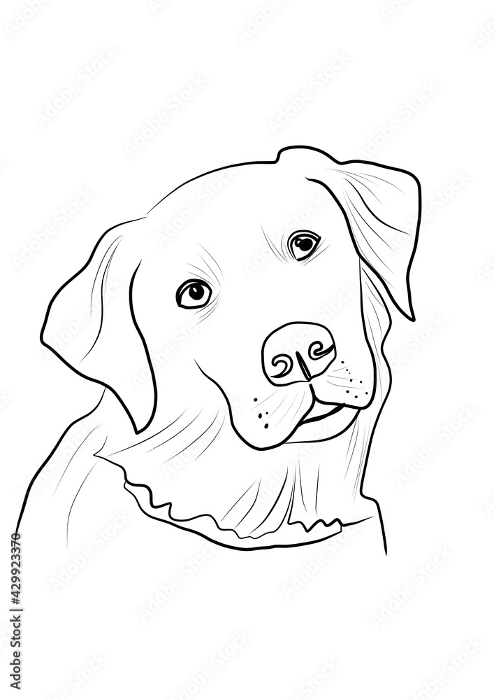 Fototapeta premium Dog. Sketch. Line art.