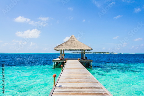 Wooden pier on a tropical beach in the Maldives © dadamira