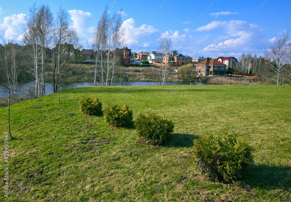 Country landscape with a row of trimmed thuja shrubs on a green grass lawn. Birches, pond and townhouses as a background in the distance. Country landscape with a row of trimmed thuja shrubs on a green grass lawn. Birches, pond and townhouses as a background in the distance.
