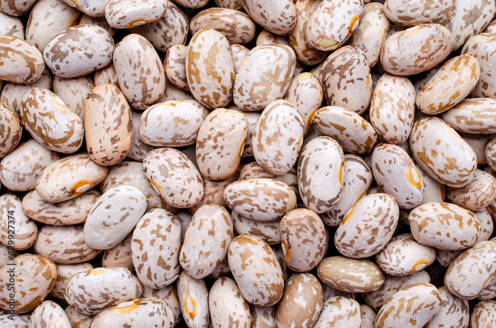 Top view of dry organic into bean background Top view of dry organic into bean background
