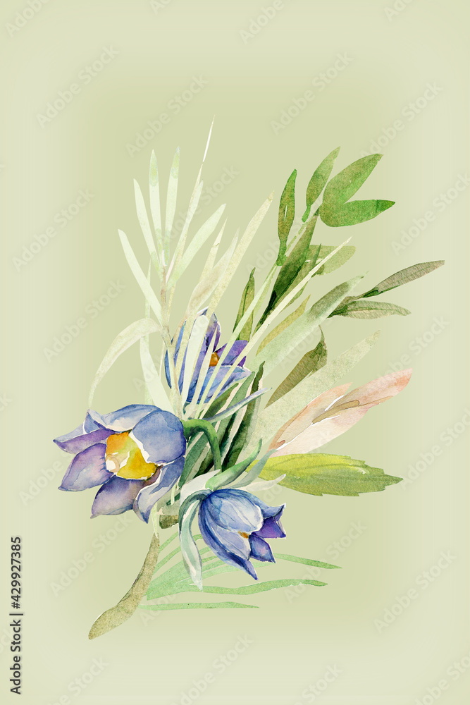 Wild herbs.Watercolour.Image on white and colored background.