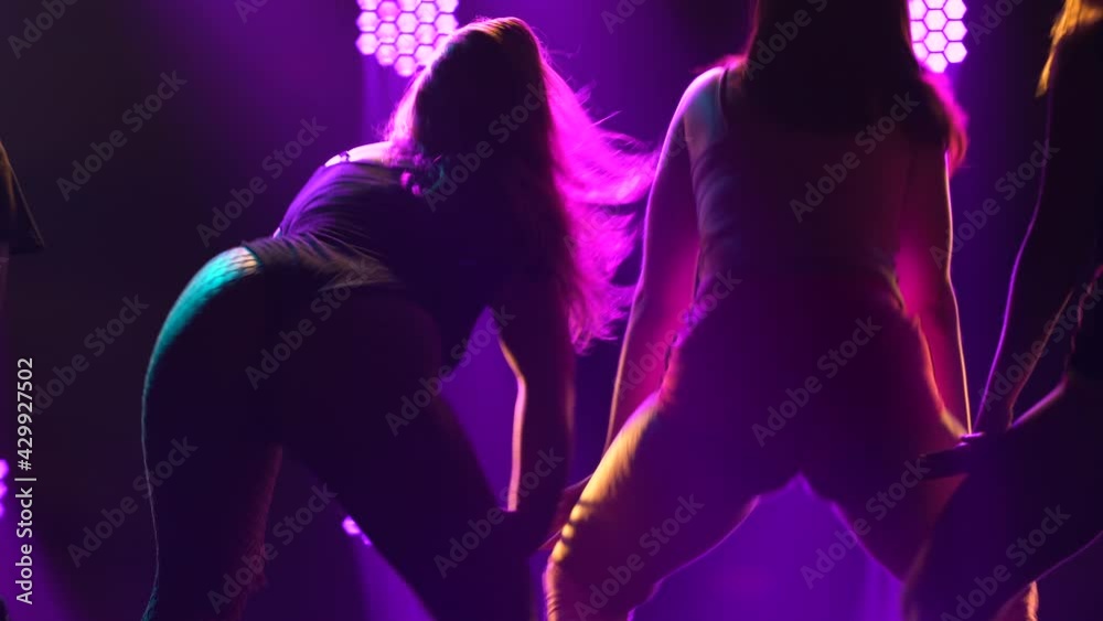 Rear view of a group of seductive dancers shaking their butts in short shorts. Silhouettes of young women twerking their asses moving their hips in a dark studio with purple lights. Close up. Rear view of a group of seductive dancers shaking their butts in short shorts. Silhouettes of young women twerking their asses moving their hips in a dark studio with purple lights. Close up.