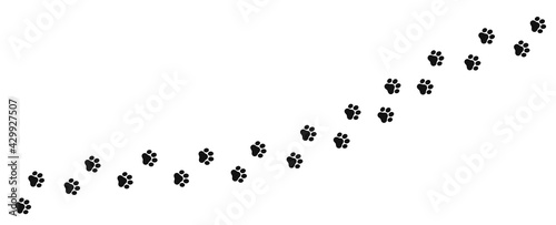 Foot trail of cat. Vector cat footprint, path pattern animal tracks, isolated on white background.