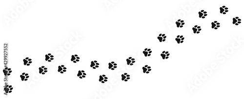 Foot trail of dog. Vector design dog footprint, path pattern animal tracks, isolated on white background.