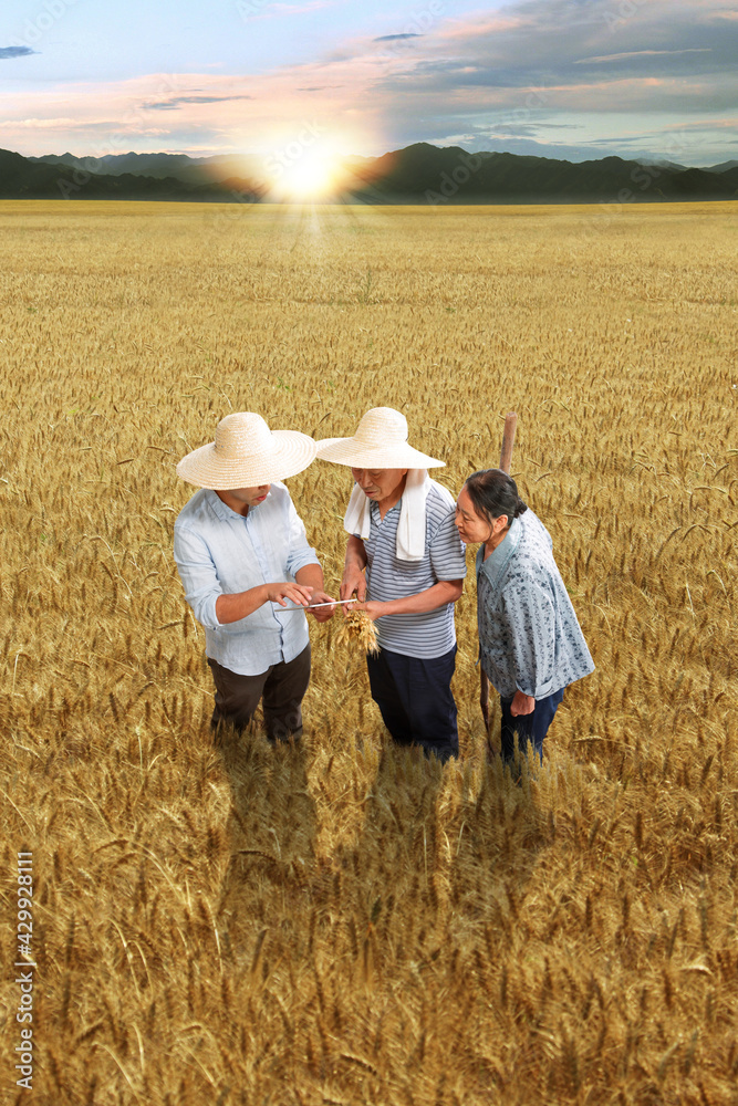Communication technology researchers and farmers
