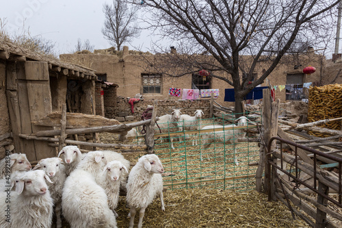 Yu county in hebei province ShuangMiao Village local-style dwelling houses
 photo