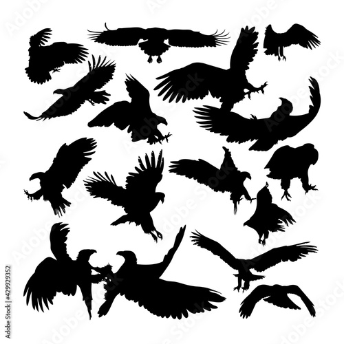White tailed eagle animal silhouettes. Good use for symbol, logo, icon, mascot, sign, or any design you want.