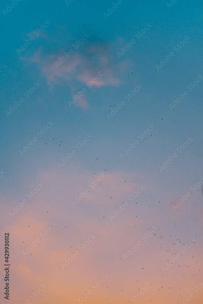 clouds in the sky clouds in the sky