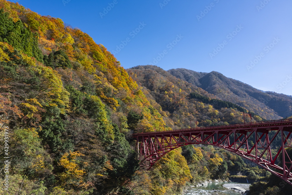 秋の黒部峡谷鉄道の橋梁
