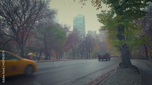 Central park at rainy morning, New York City, USA