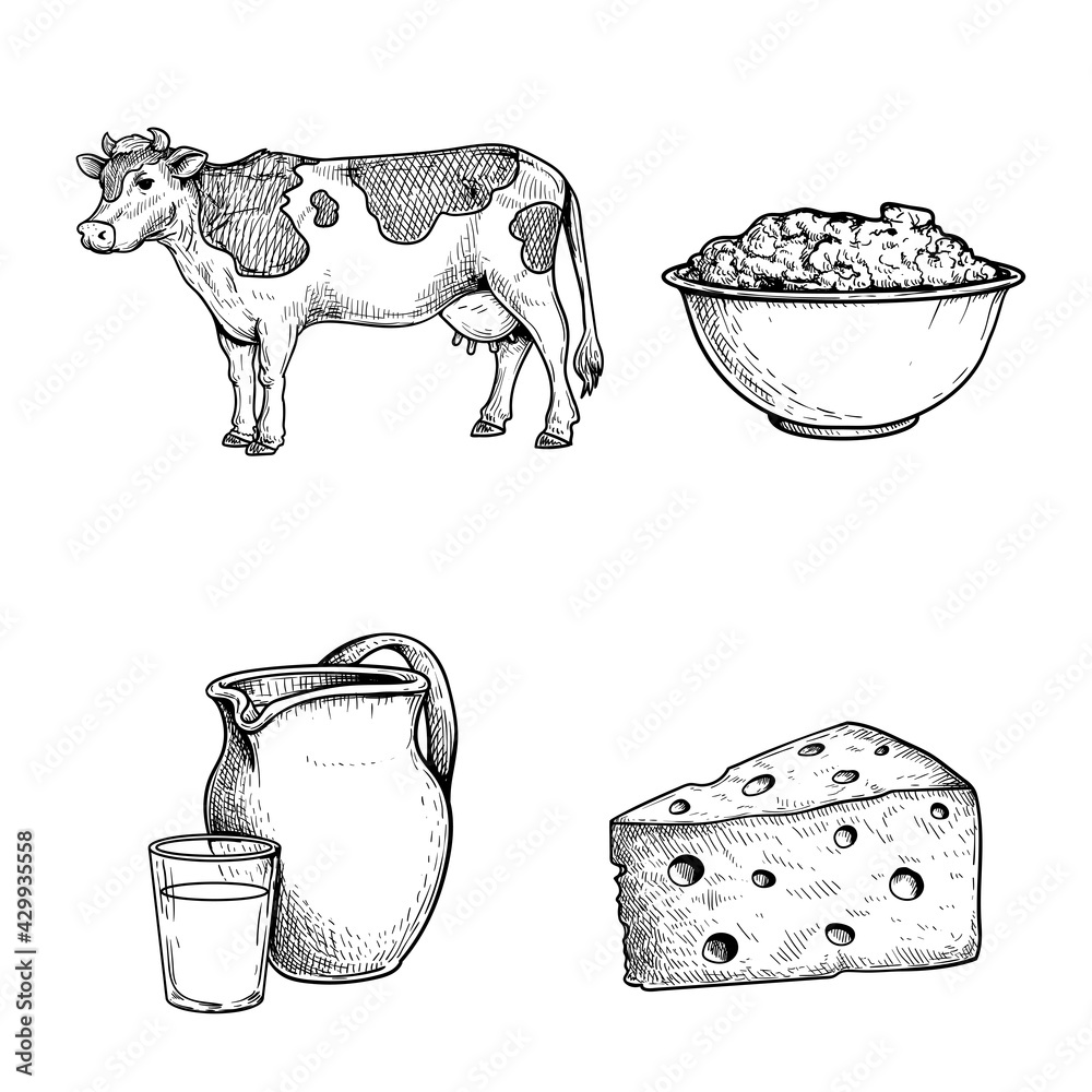 Dairy Products Vector, Cute Dairy Clip Arts, Cartoon Cheese & Milk, Funny  Food Drawing Set, Vector EPS, SVG Files, Transparent PNG - Etsy