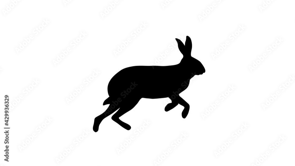 A running hare, animation on the white background