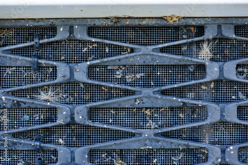 Bugs and flies crashed and stuck in grille of car radiator photo