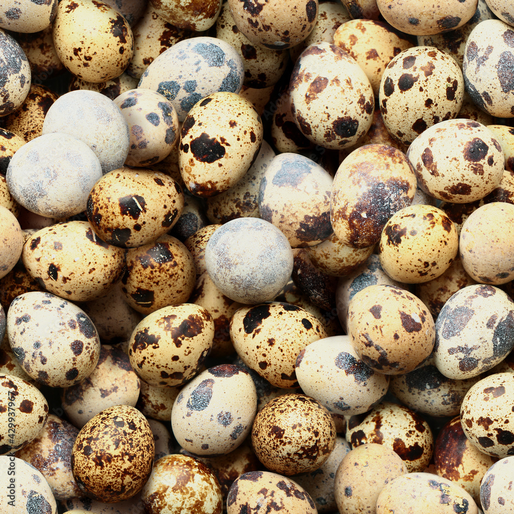 Seamless background of quail eggs on flat surface. Minsk. Belarus. Seamless background of quail eggs on flat surface. Minsk. Belarus.