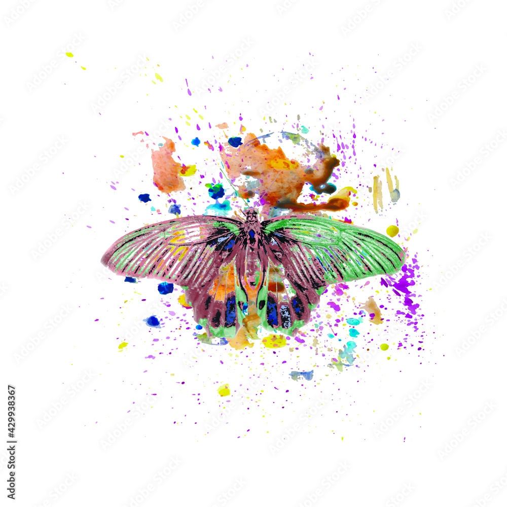 Watercolor spray, drops, butterfly in the style of watercolor spray. Vector illustration