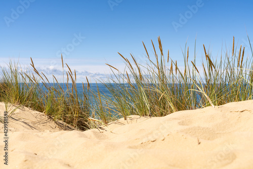 Fototapeta Naklejka Na Ścianę i Meble -  Sand dunes on the beach