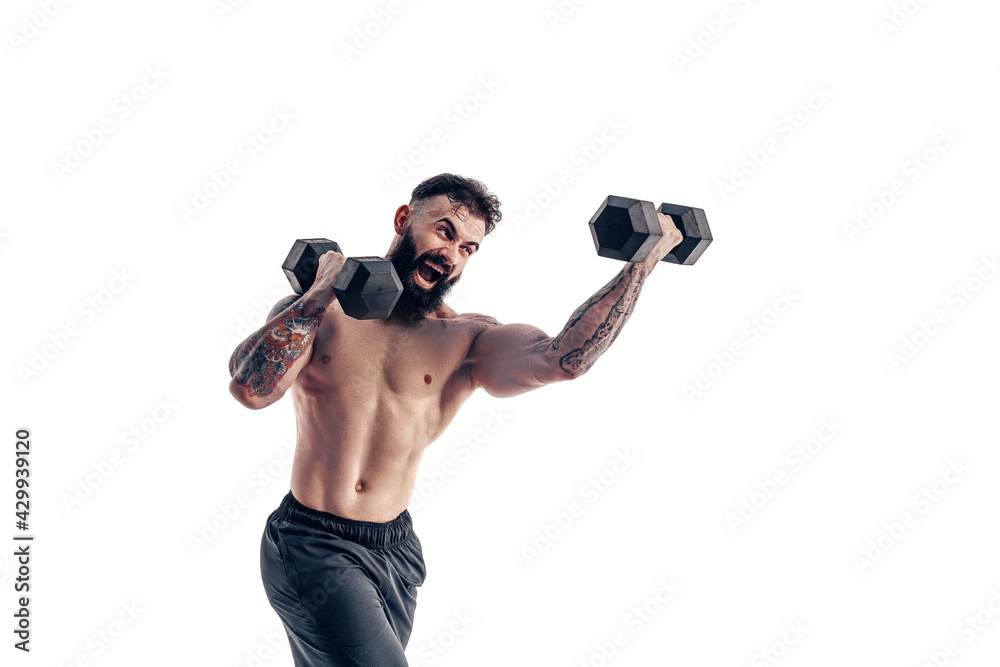 Muscular bodybuilder guy doing exercises with dumbbell over whit