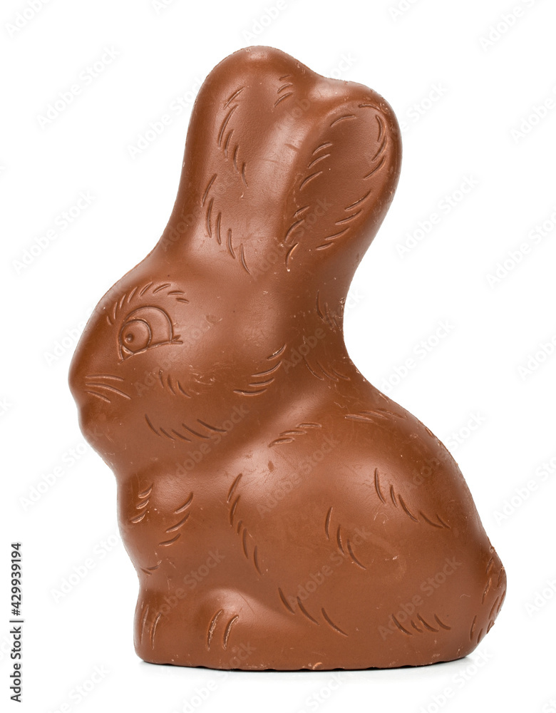chocolate bunny on white background chocolate bunny on white background