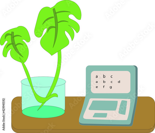 パソコンと観葉植物と机