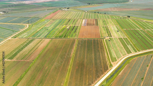 Green fields aerial view before harvest at summer. farm land with agricultural machinery.