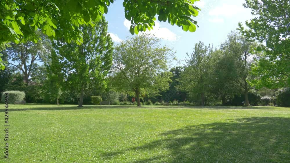 Amazing natural parkland background in 4k slow motion 60fps Amazing natural parkland background in 4k slow motion 60fps