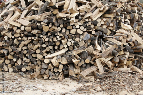 montagna di legna ammassata