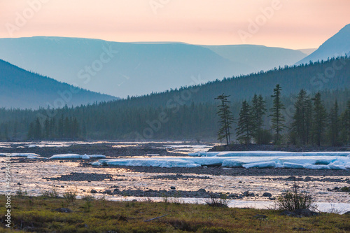 Forest on the banks of the river Hoisey. Putorana Plateau, Taimyr, Russia