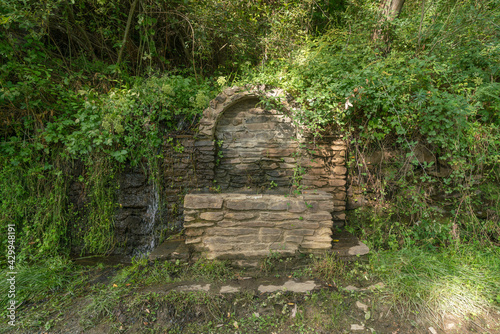 water fountain covered with vegetation