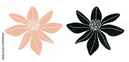 Flower print six petals and stamens logo icon