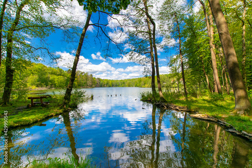 Fototapeta Naklejka Na Ścianę i Meble -  landscape and lake (Schermützelsee, Buckow, Brandenburg, Germany)