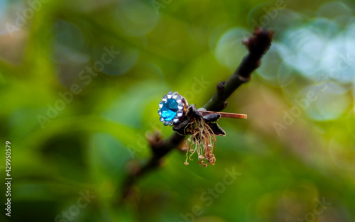 isolated blue diamond ring 