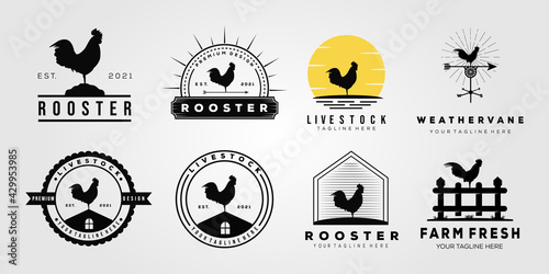 set rooster chicken livestock logo. weathervane, chick, farm logo vector illustration design photo