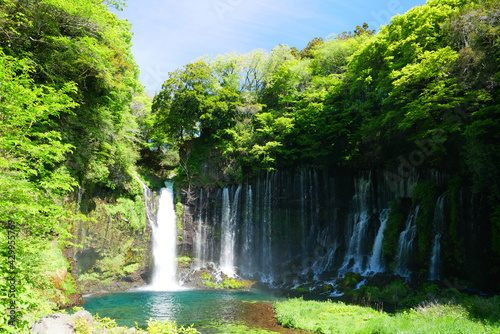 日本、白糸の滝
