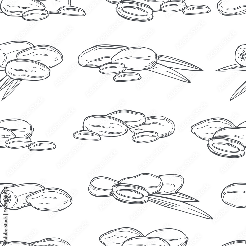 Dates fruits. Vector pattern. Dates fruits. Vector pattern.