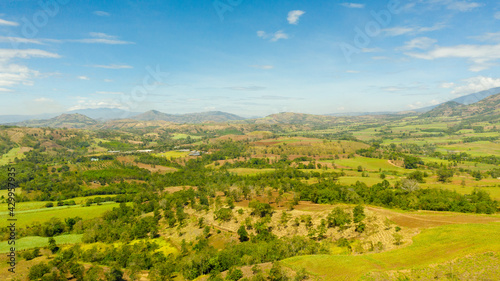 Aerial drone of Agricultural land with sown green fields in countryside. Mindanao, Philippines.
