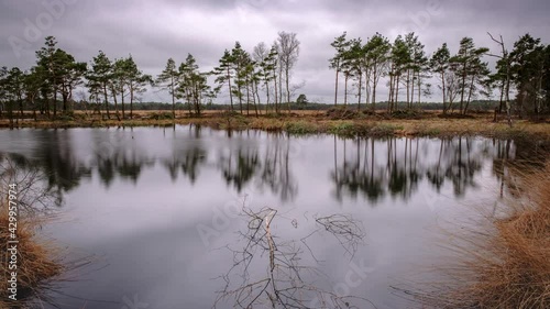 Time Lapse of Pietzmoor, Lüneburger Heide (Lower Saxony, Germany) with Reflection and Dramatic Clouds photo