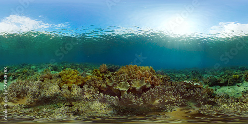 Tropical coral reef and fishes underwater. Hard and soft corals. Philippines. Virtual Reality 360.