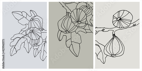 Decor printable art. Set of hand drawn vector illustrations of fig fruits on branches