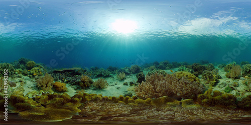 Coral Reef and Fishes Underwater. Underwater fish reef marine. Tropical colorful underwater seascape with coral reef. Philippines. 360 panorama VR