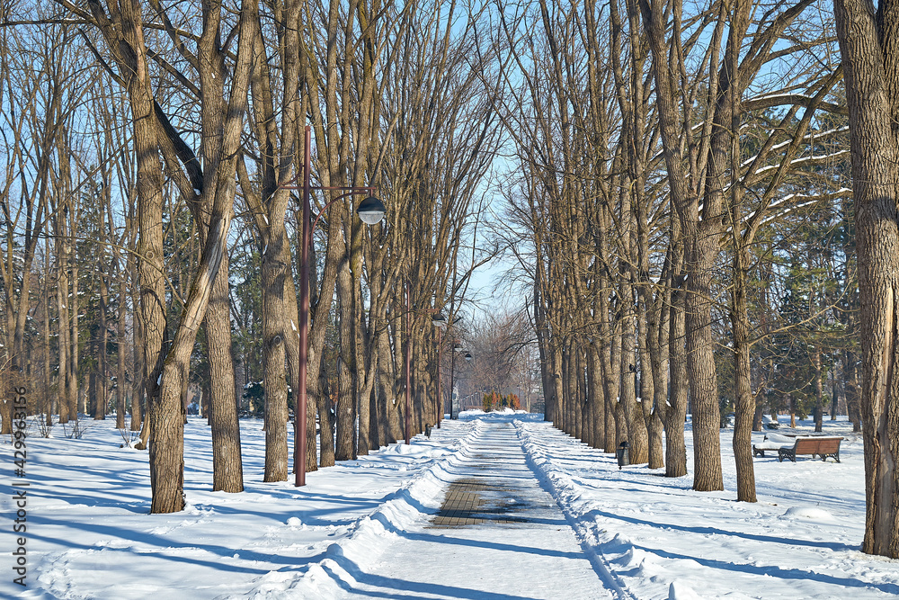 Naklejka premium City park covered with snow.