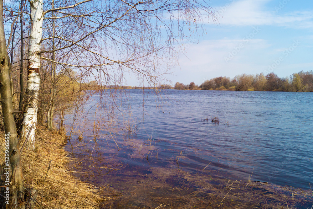 Obraz premium Spring landscape with a river in the countryside