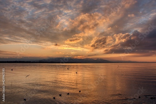  2021 - 01 - Lochau - Sonnenuntergang - Lochau - Sonnenuntergang 11 