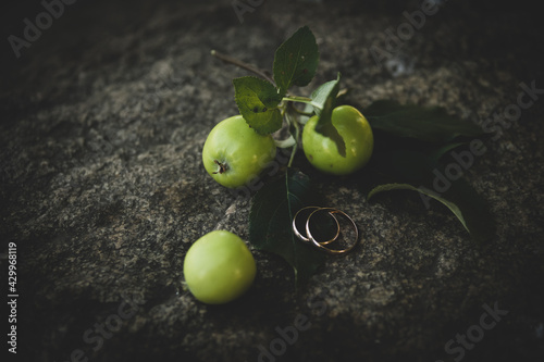 Gold wedding rings lie on a large gray stone, next to three bright green apples with a twig and leaves. Tinting.