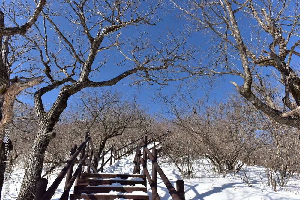 Winter landscape of Odaesan Mountain in South Korea Winter landscape of Odaesan Mountain in South Korea