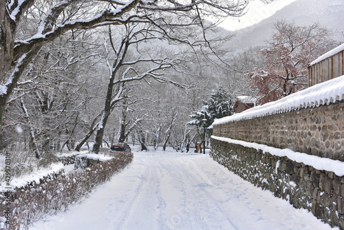 Snowy landscape of Seonunsan Mountain in Gochang, Korea © Youngok