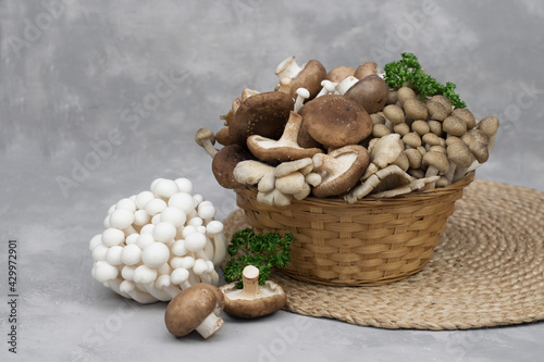 Variety of uncooked wild forest mushrooms in a basket isolated on gray background. photo