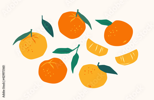 Murais de parede Set of drawn tangerines