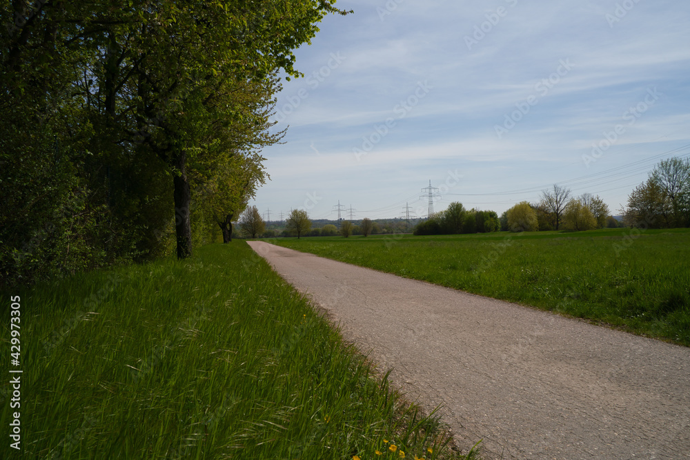 Asphalt road near a green meadow with grass on the side and power lines in the background